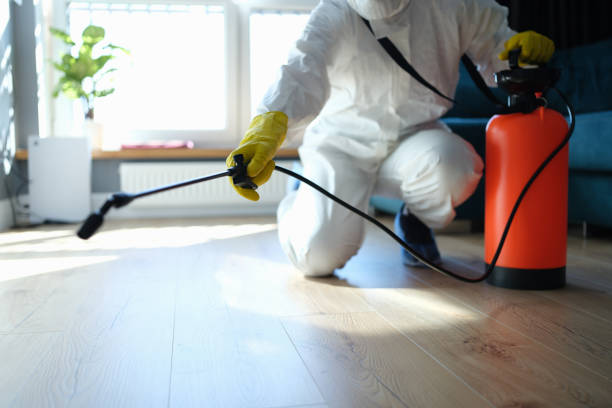 Flea Control Services in Muldraugh, KY