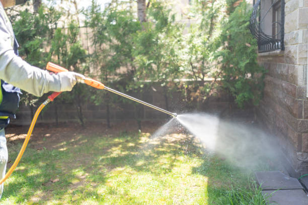 Spider Control Near Me in Muldraugh, KY
