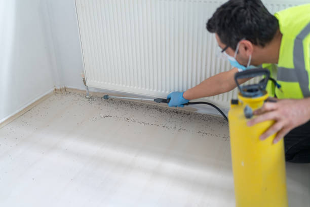 Best Flea Control Services  in Muldraugh, KY