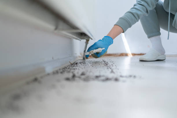 Best Exterminator Services  in Muldraugh, KY